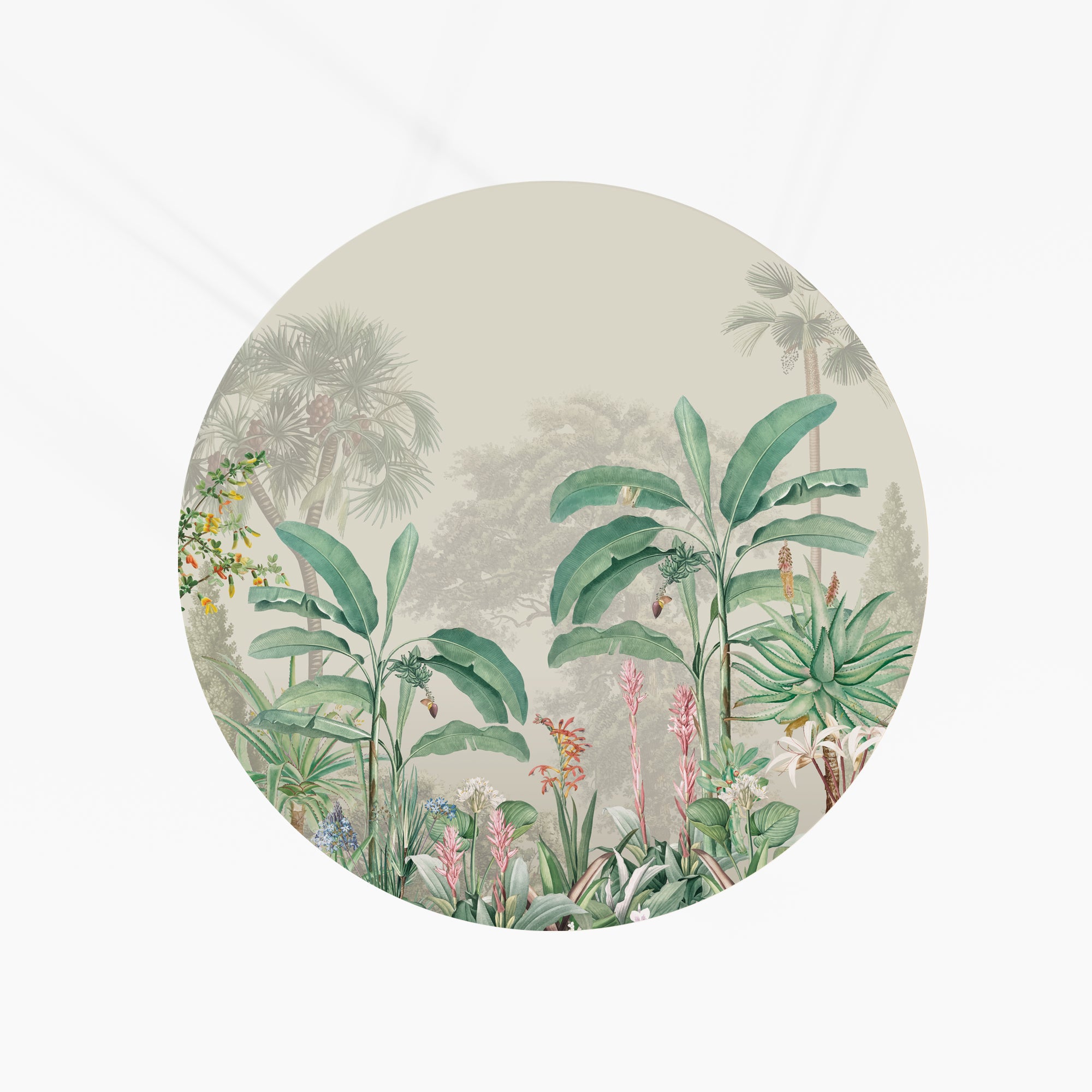 Tropical lines Table