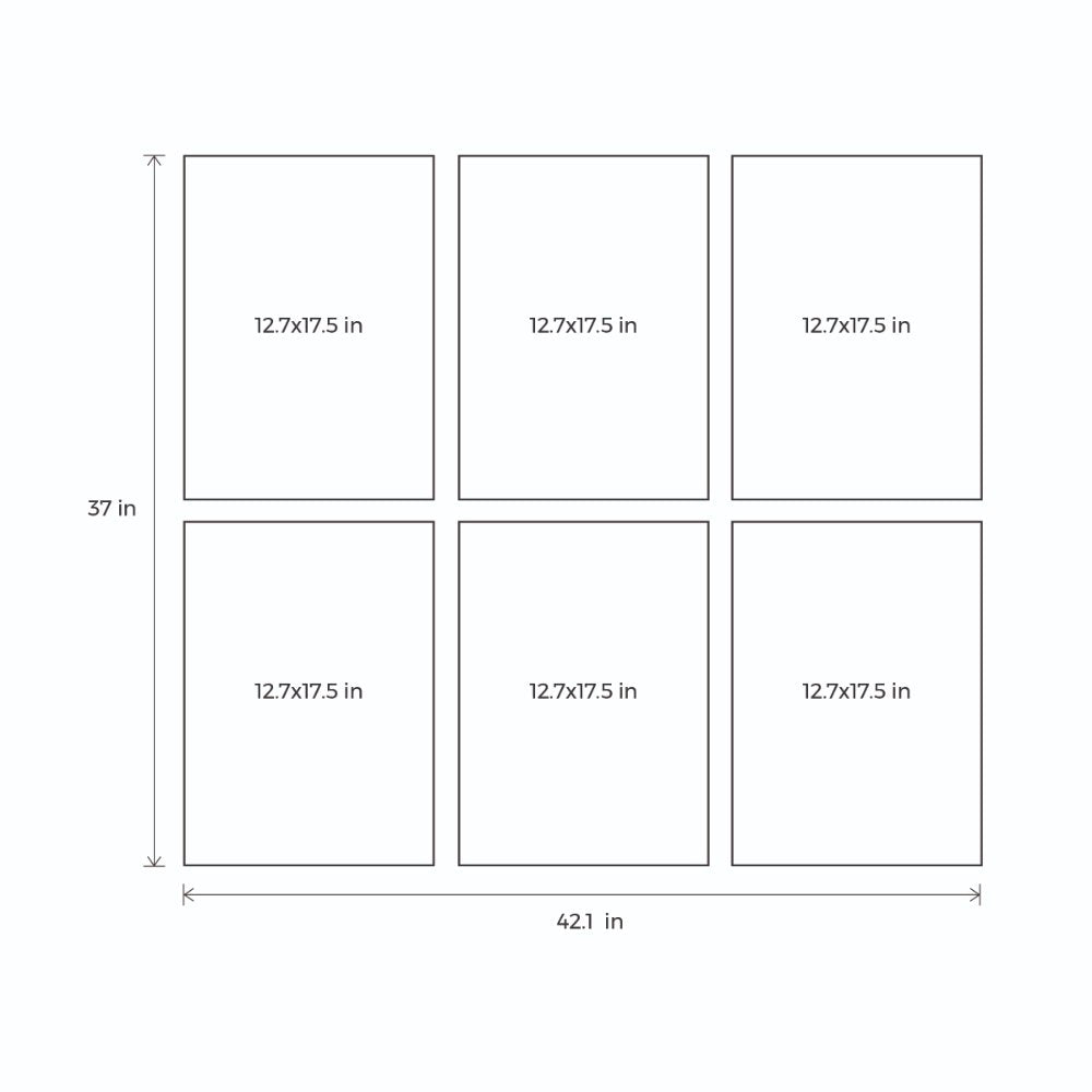 Bloom Botanical - Set of 6