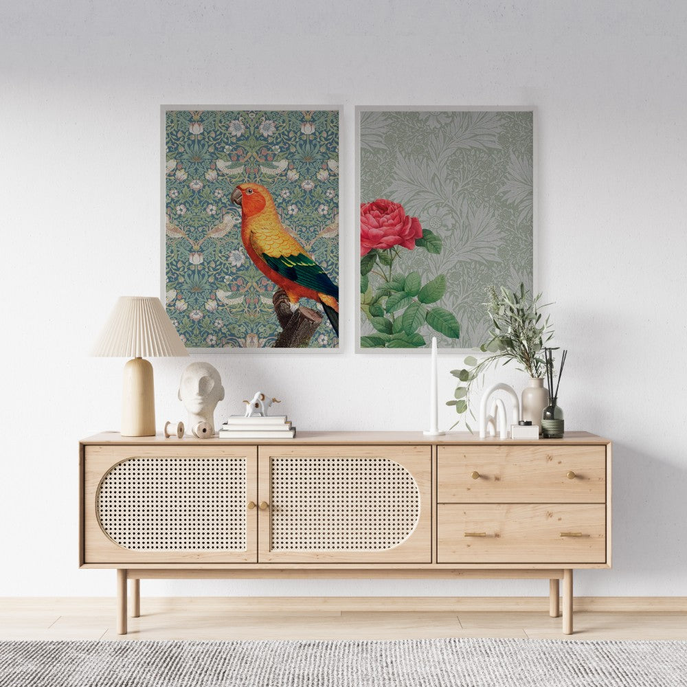 Macaw and The Red Rose - Set of 2