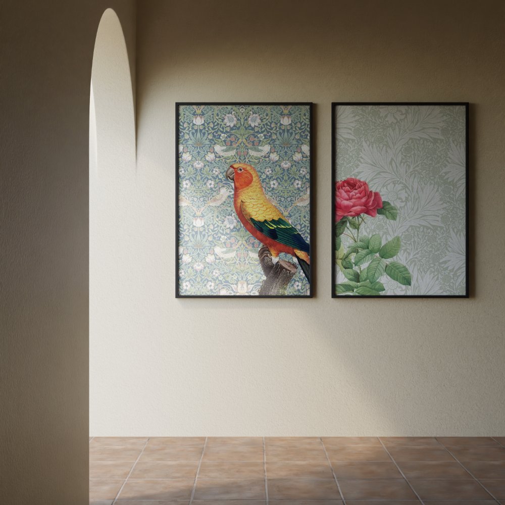 Macaw and The Red Rose - Set of 2
