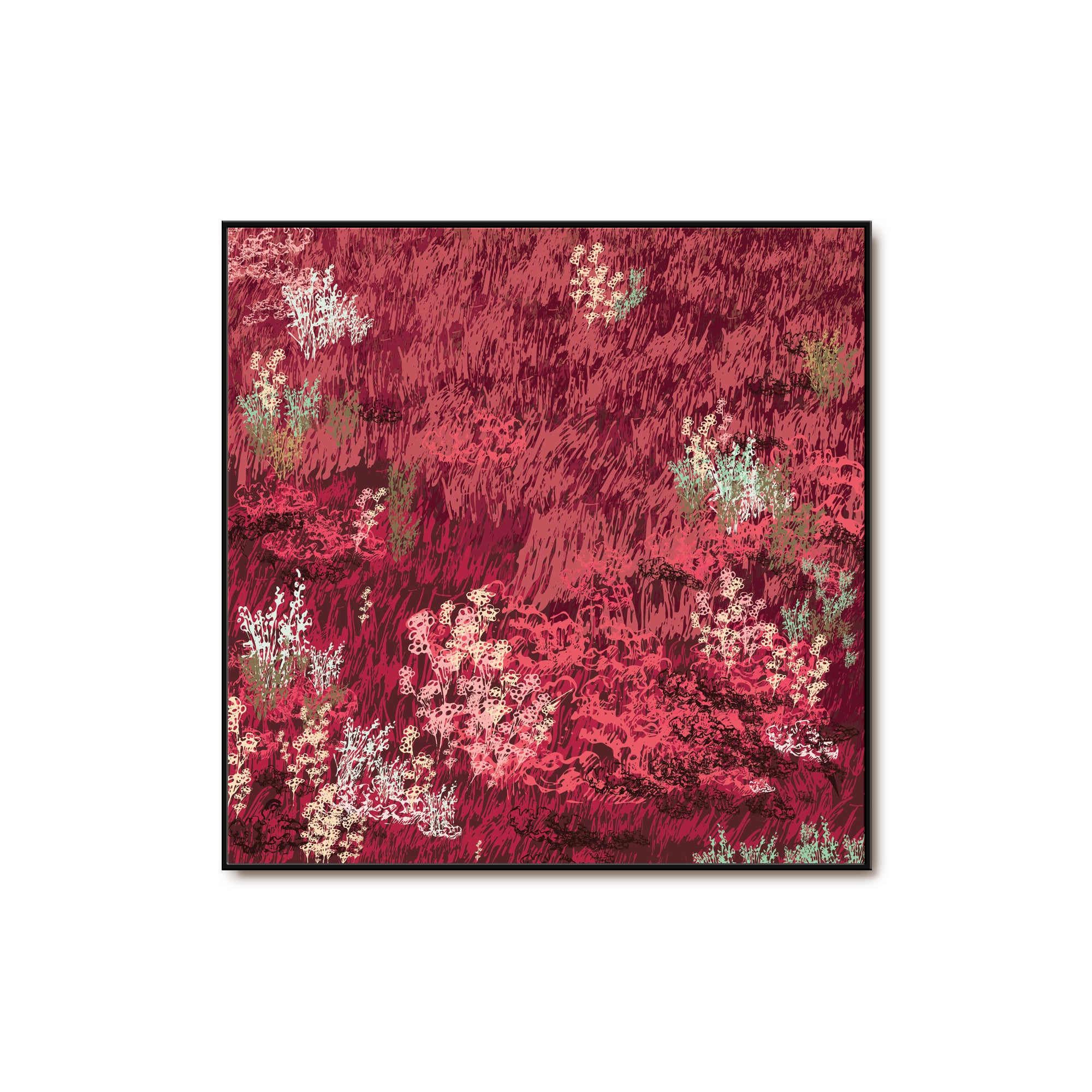 Blush in the Wild