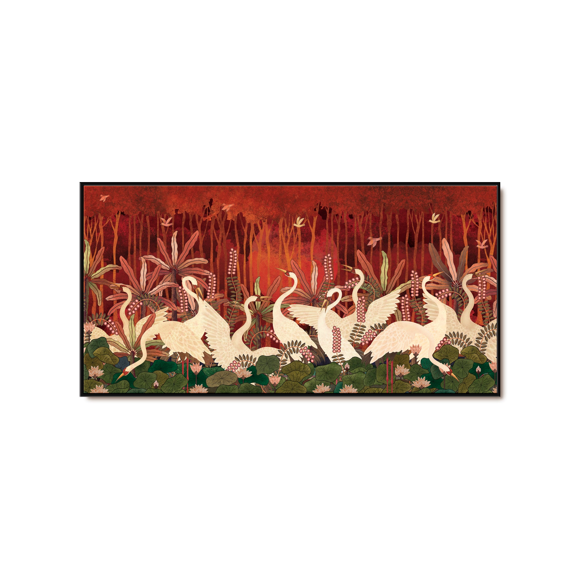 Swan Serenade