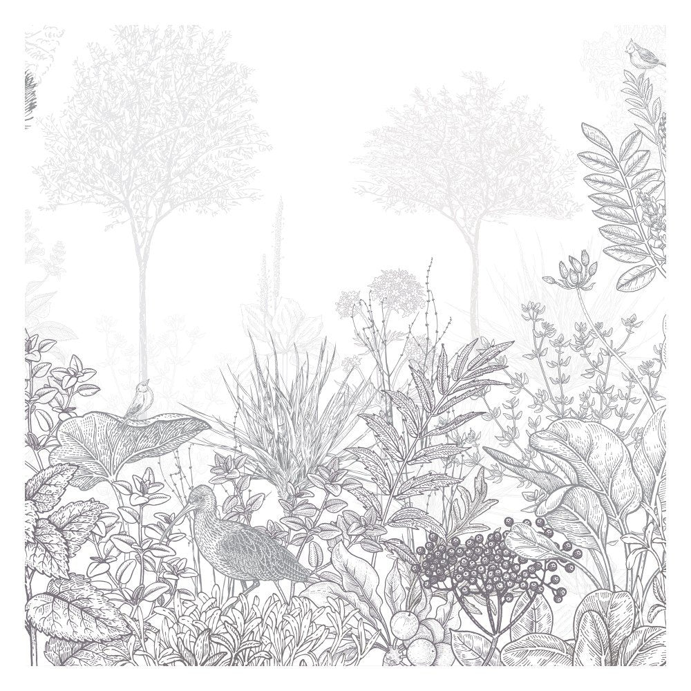 Dreamscapes Unveiled