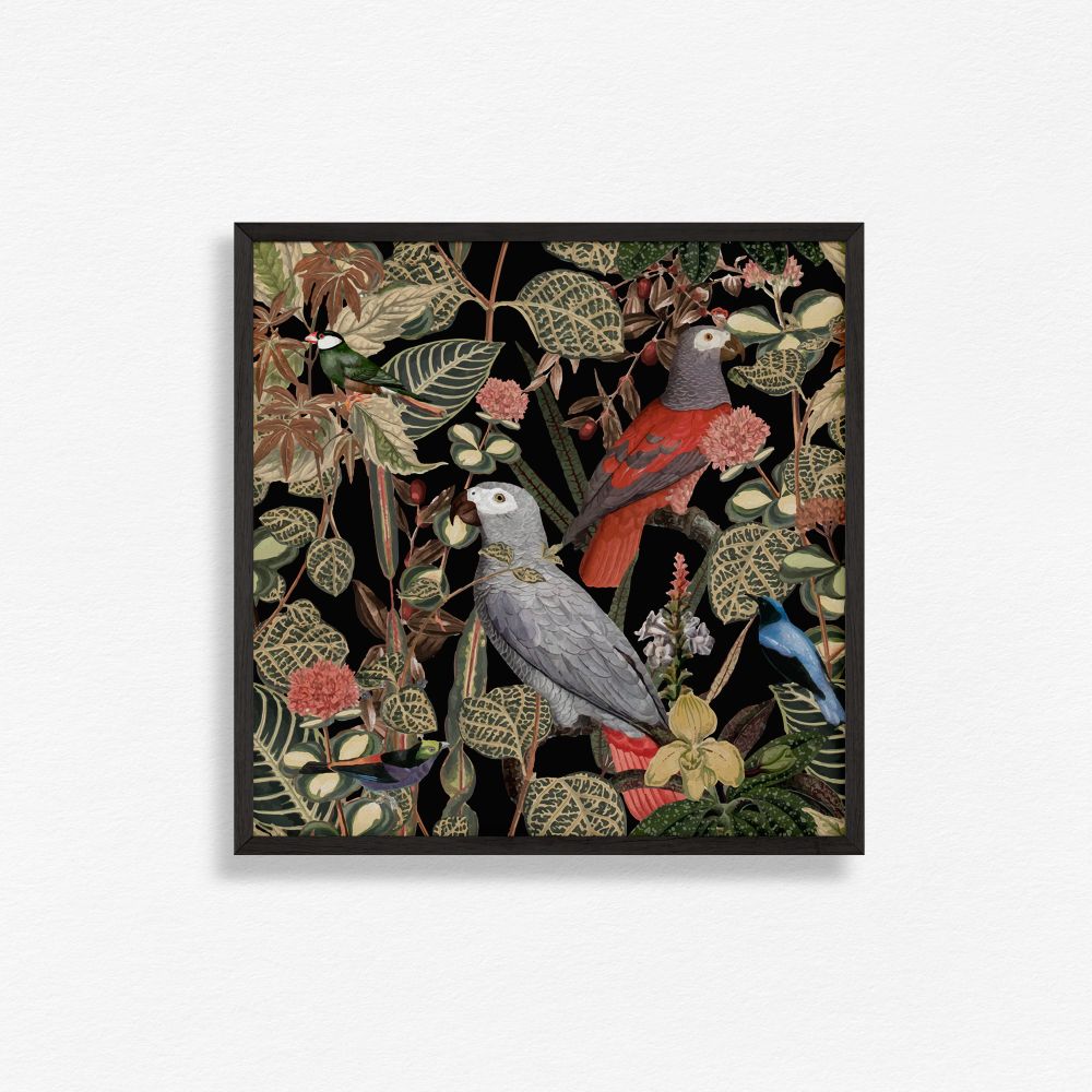 Feathered friend - 1