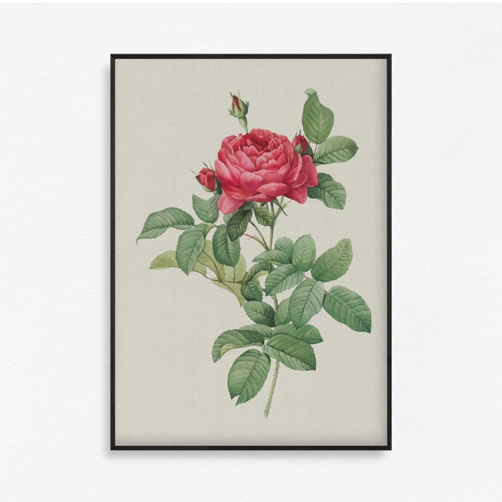 Bloom Botanical - Set of 3