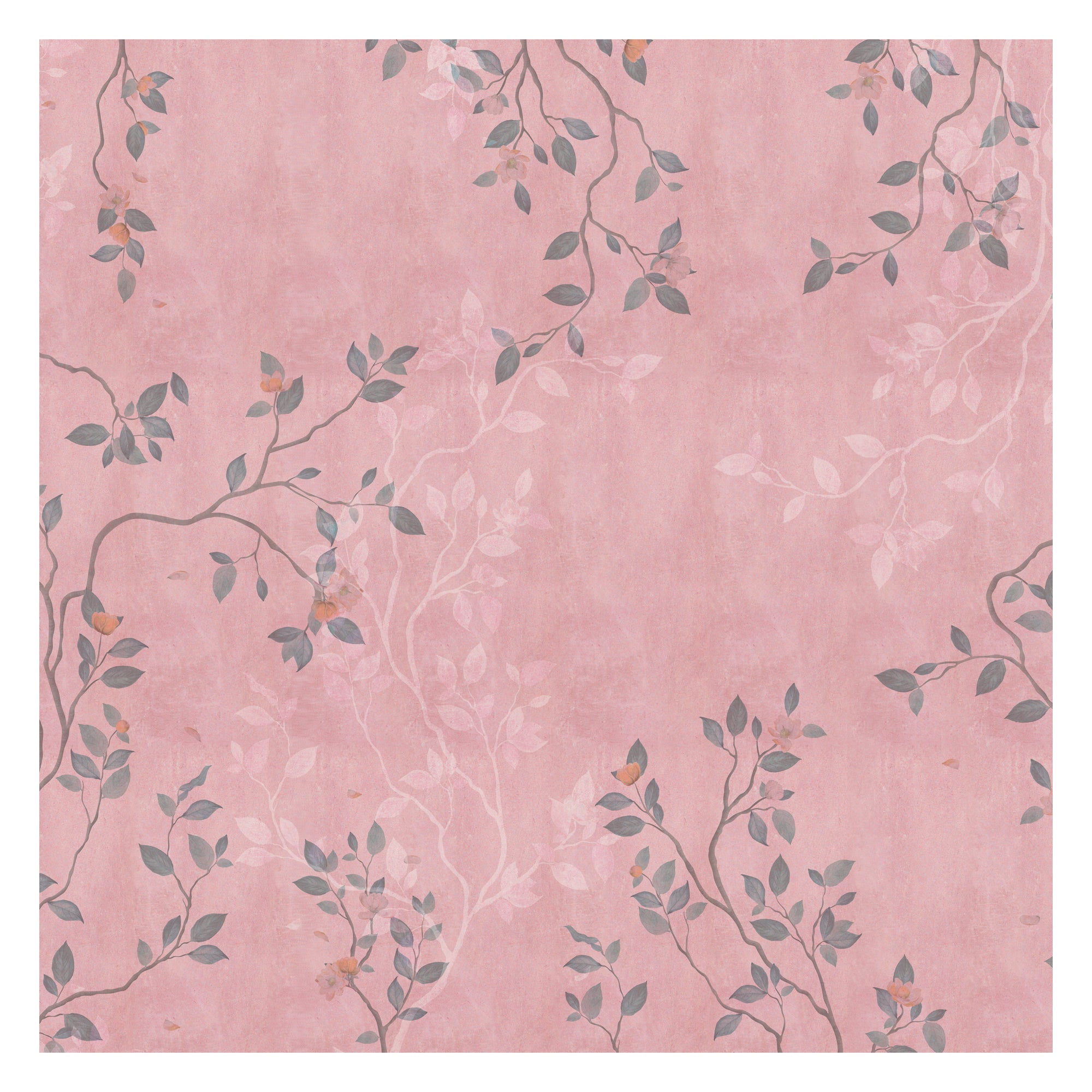 Blush Blossom