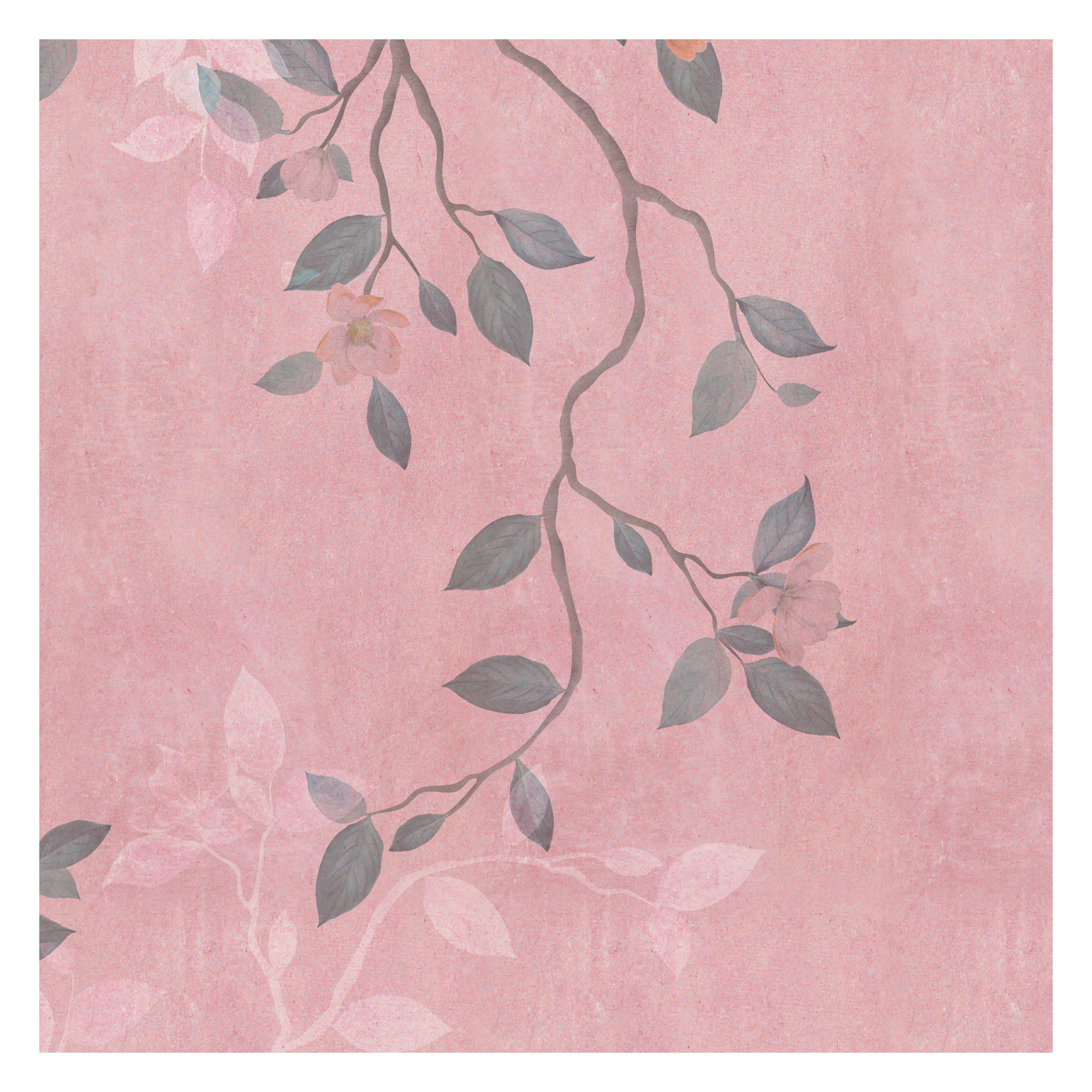 Blush Blossom
