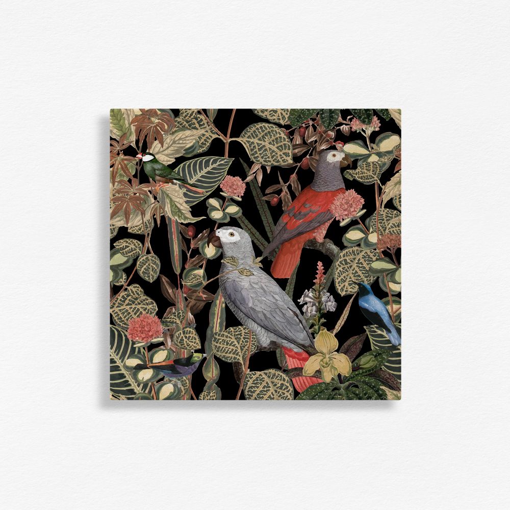 Feathered friend - 1