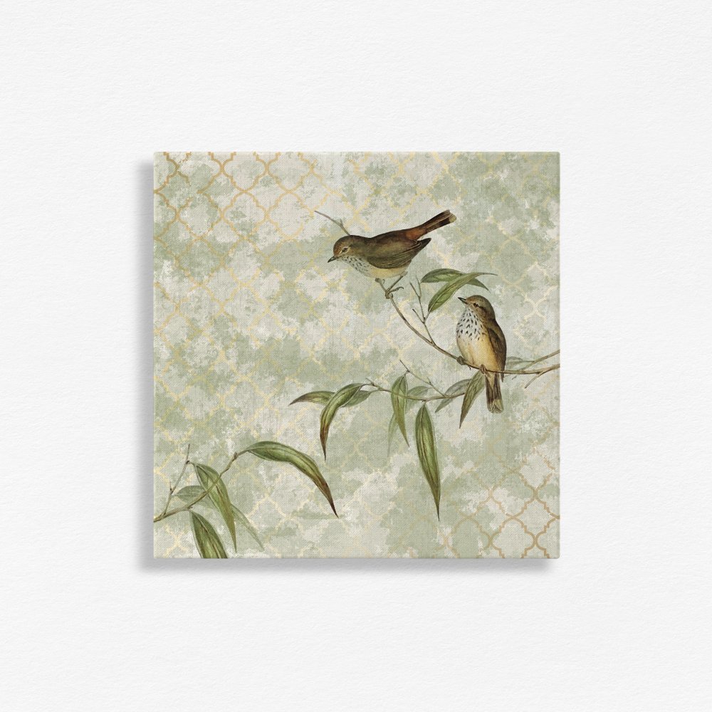 Feathered friend - 4