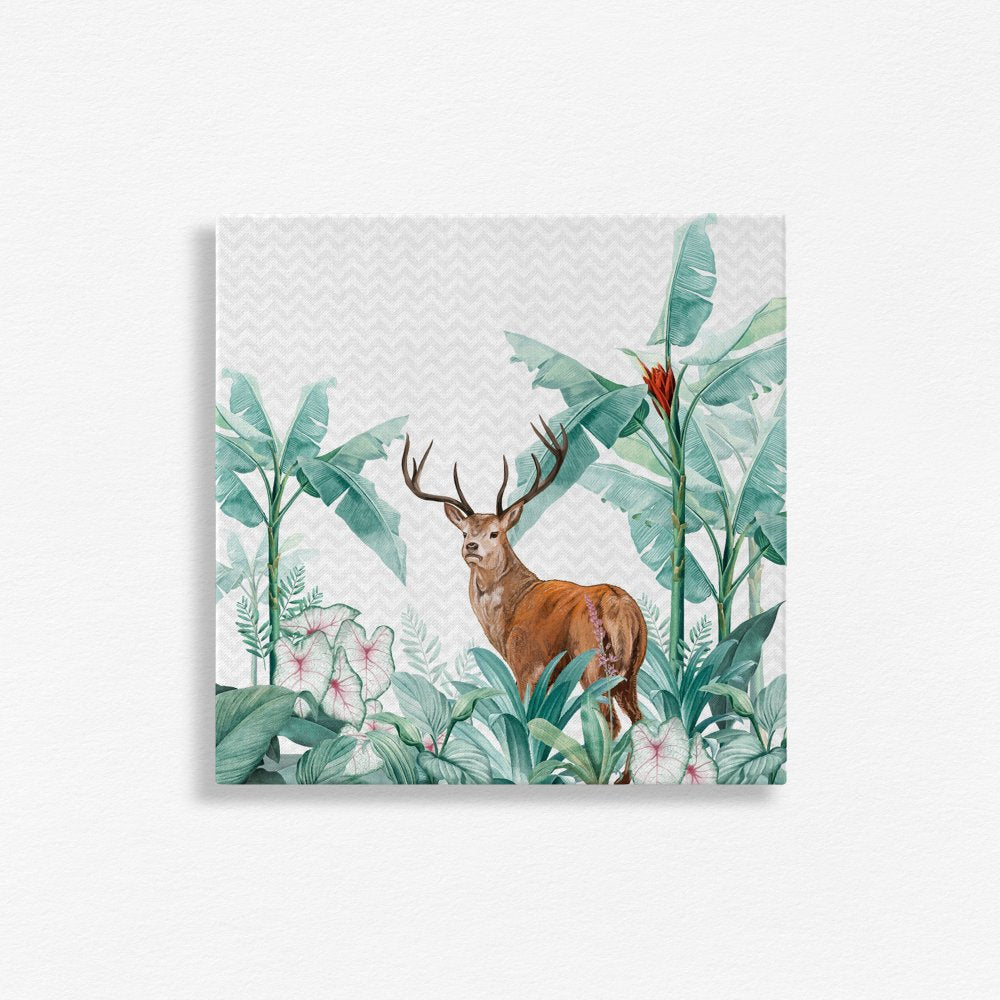 Tropicle Deer