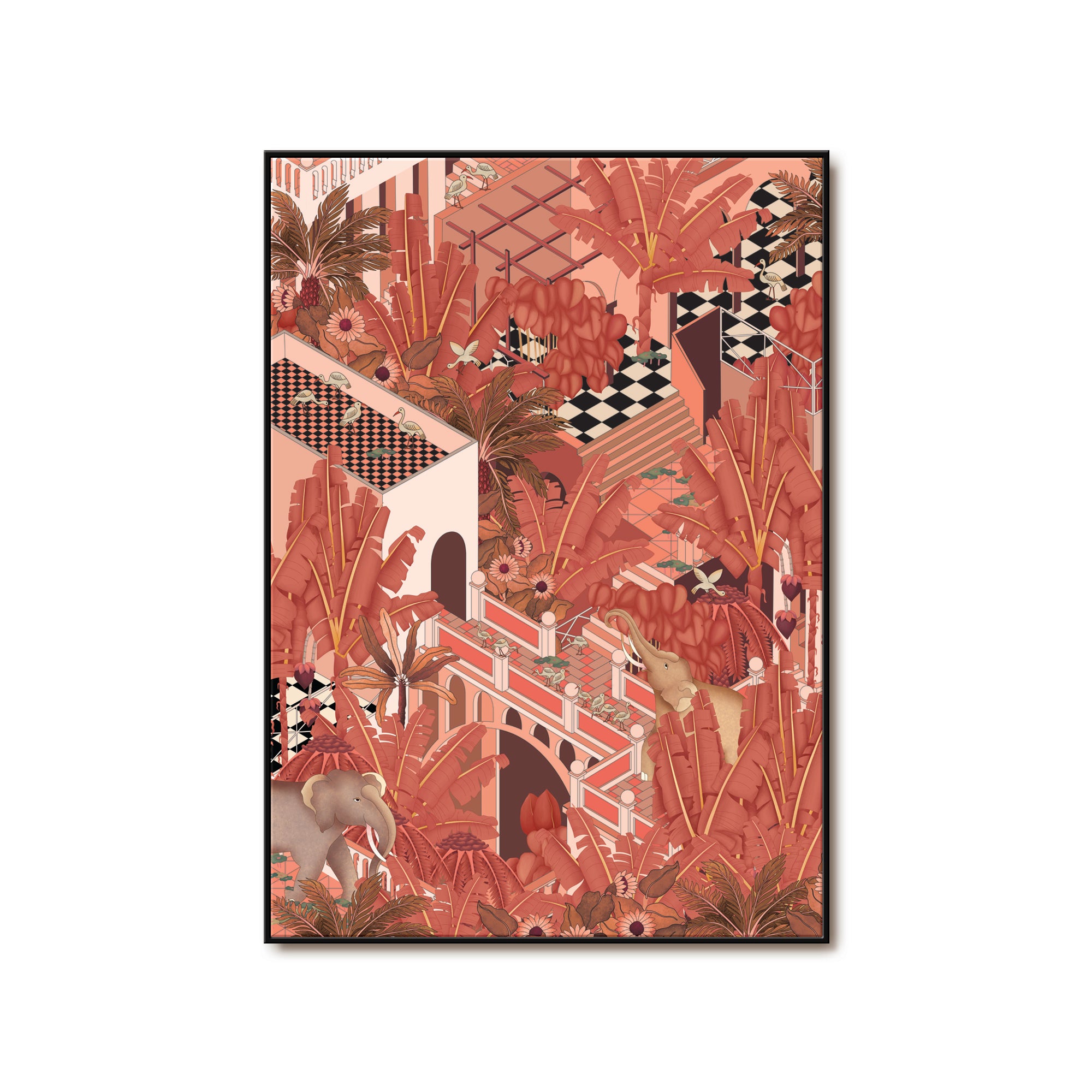 The Coral Kingdom