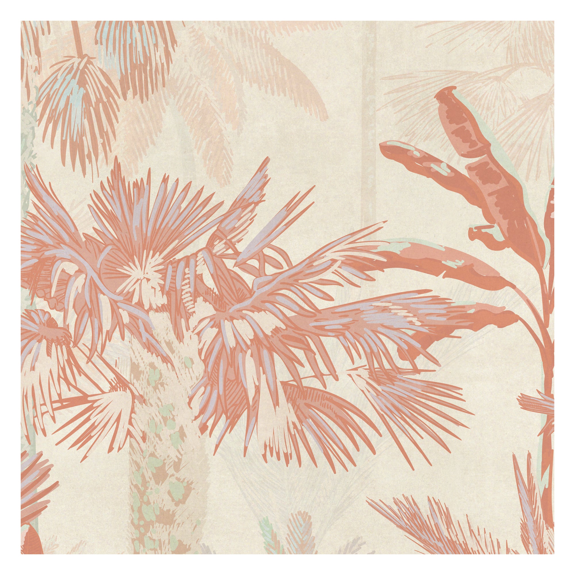 The Quiet Tropics