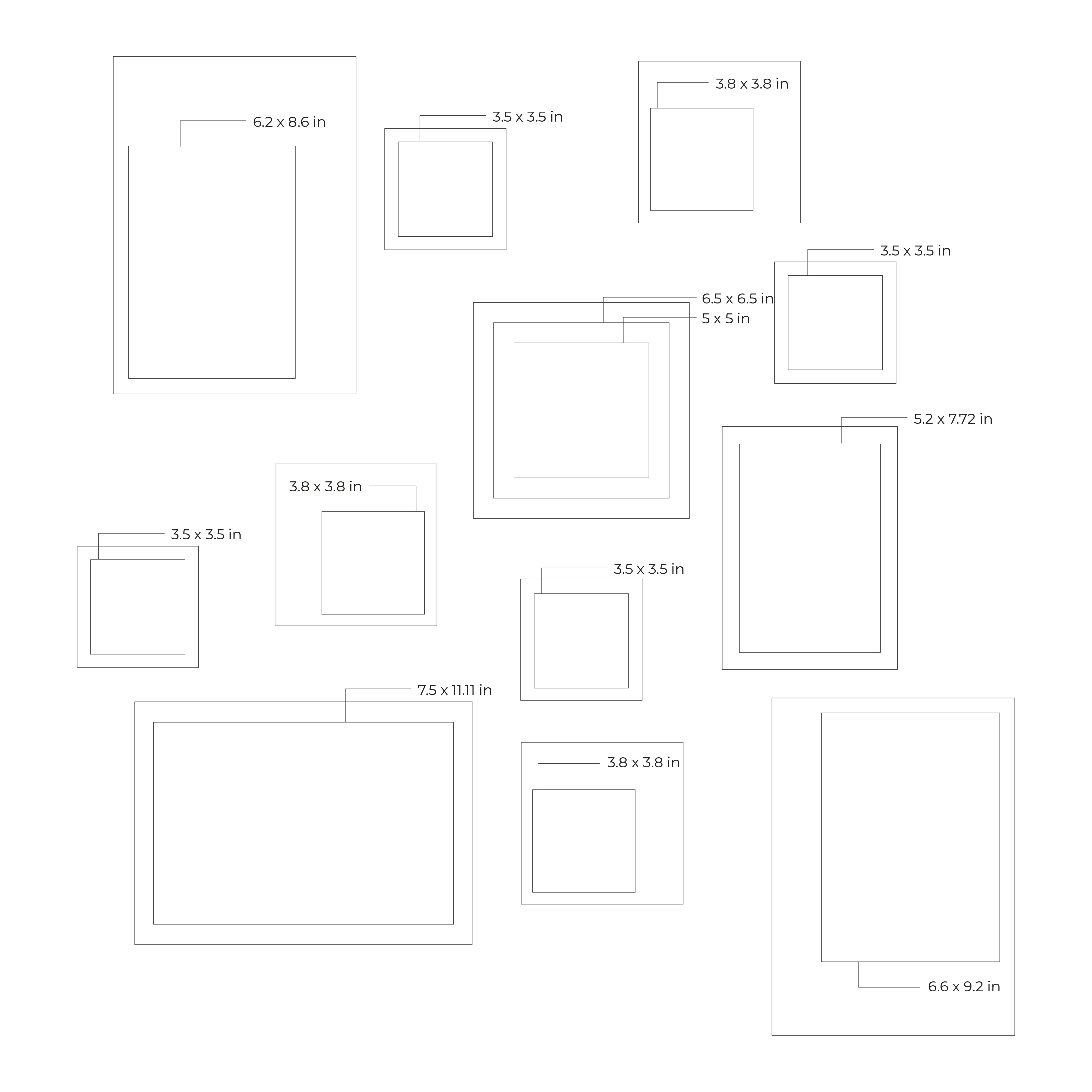 Birdsong Gallery - Set of 12