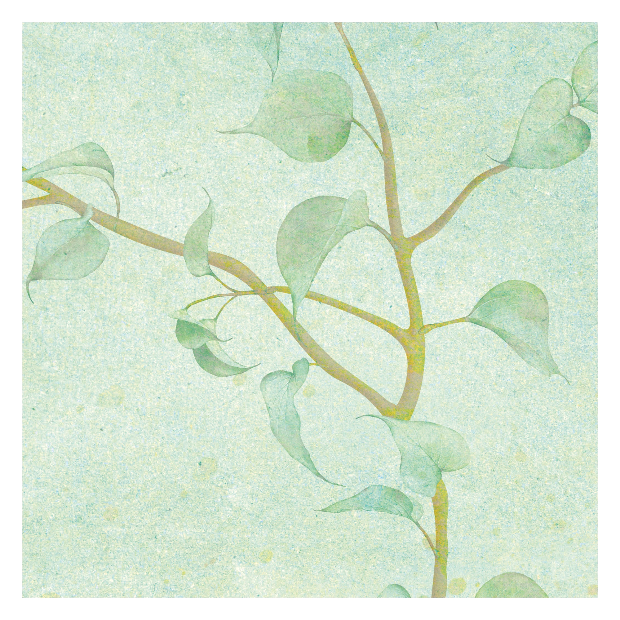 Verdant Veil