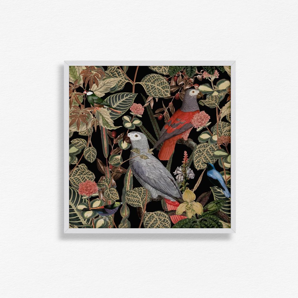 Feathered friend - 1