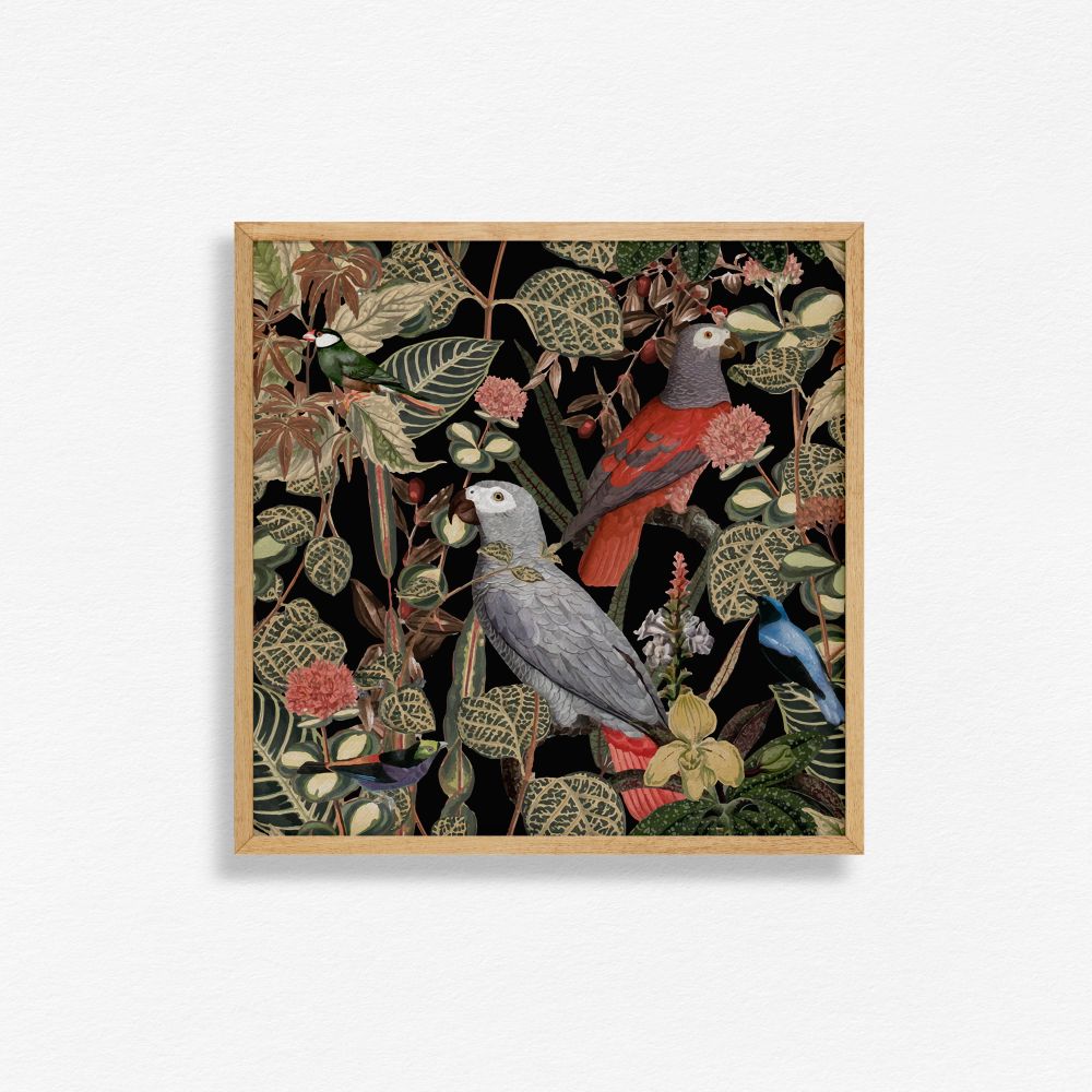 Feathered friend - 1