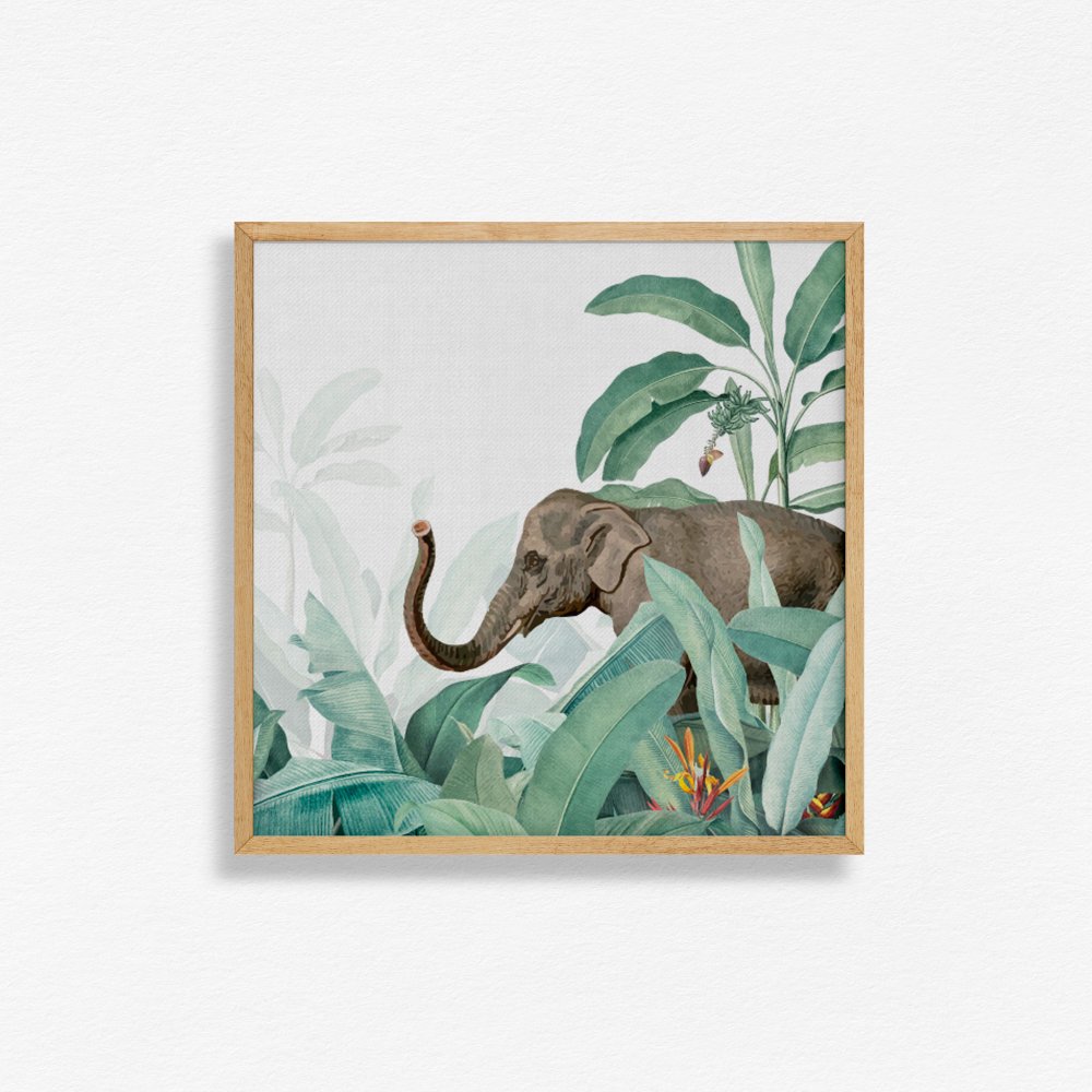 Tropicle Elephant