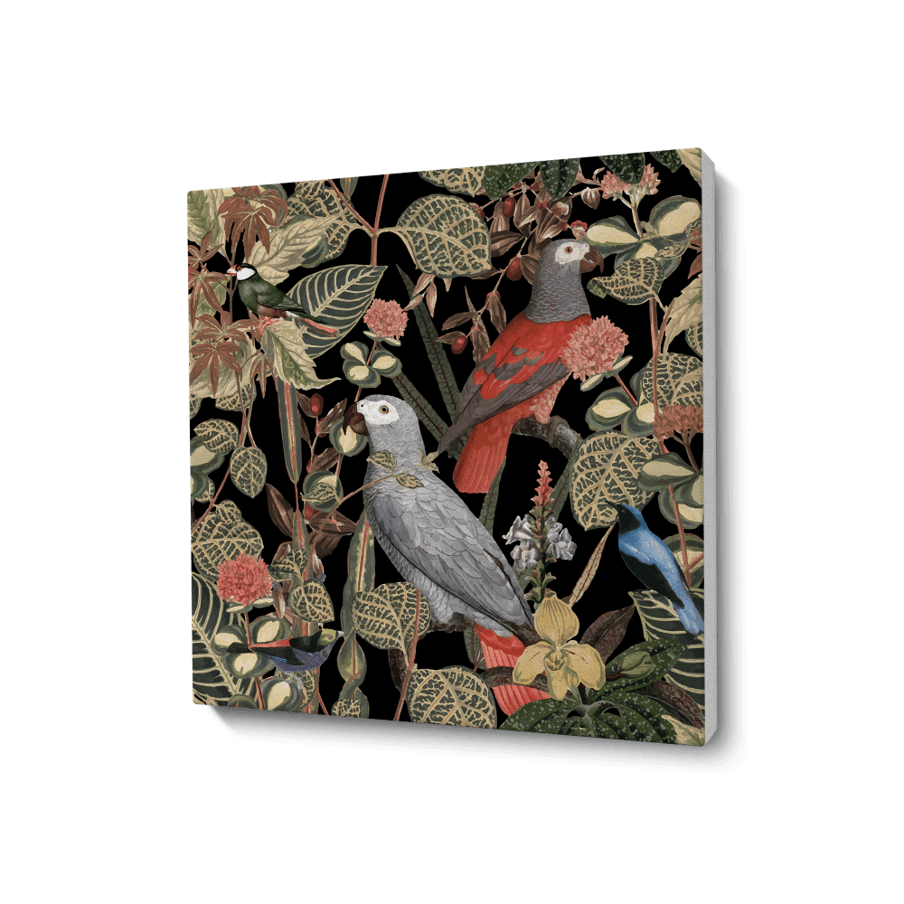 Feathered friend - 1