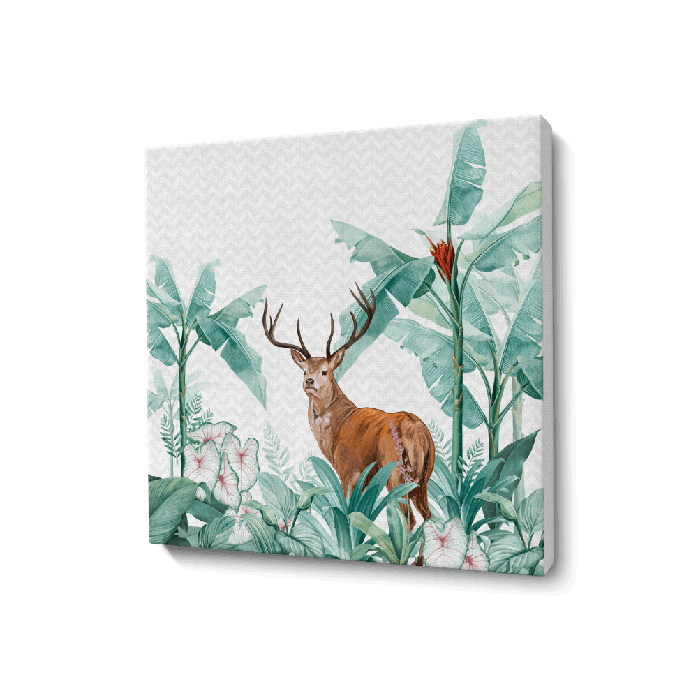 Tropicle Deer