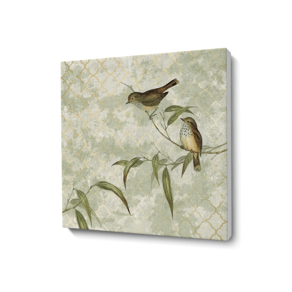 Feathered friend - 4