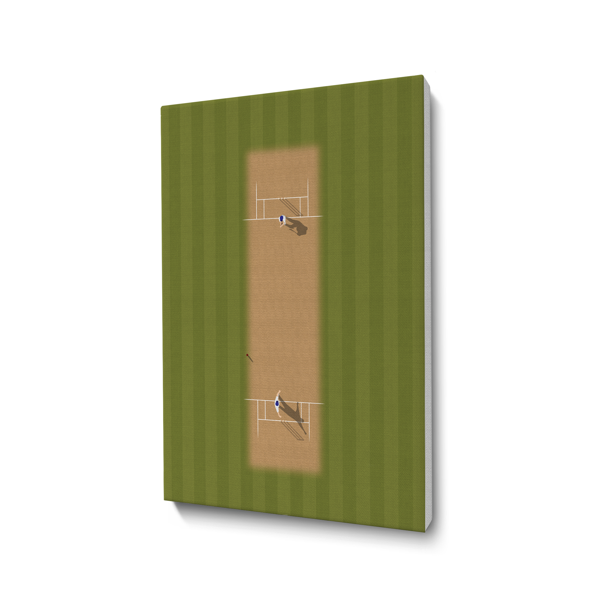 Cricket Pitch