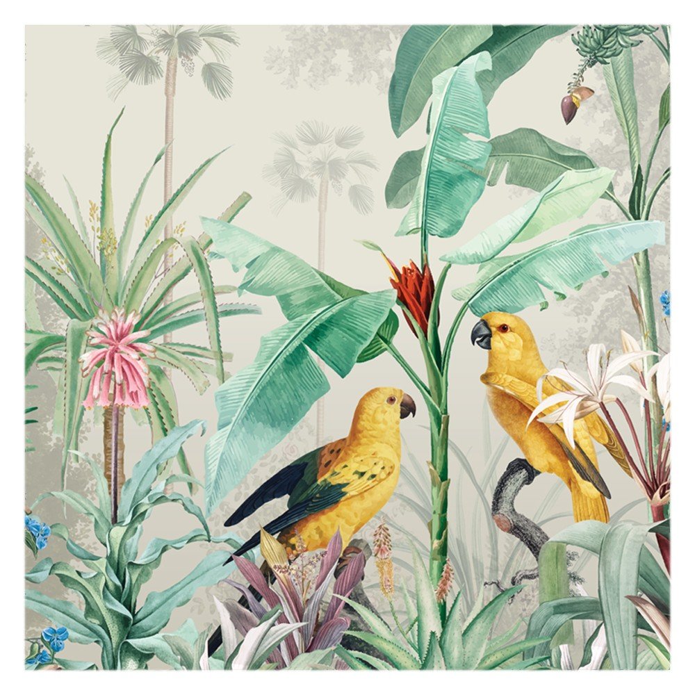 Parrots visiting tropical lines