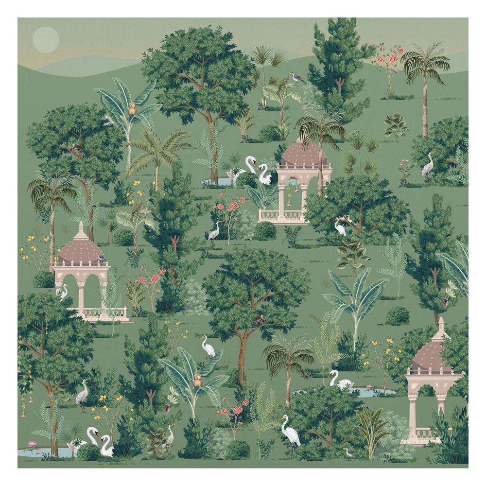 White Swan in Garden