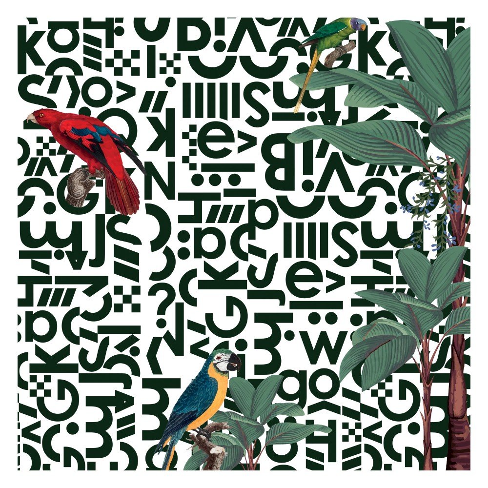 Alphabet Abstractions