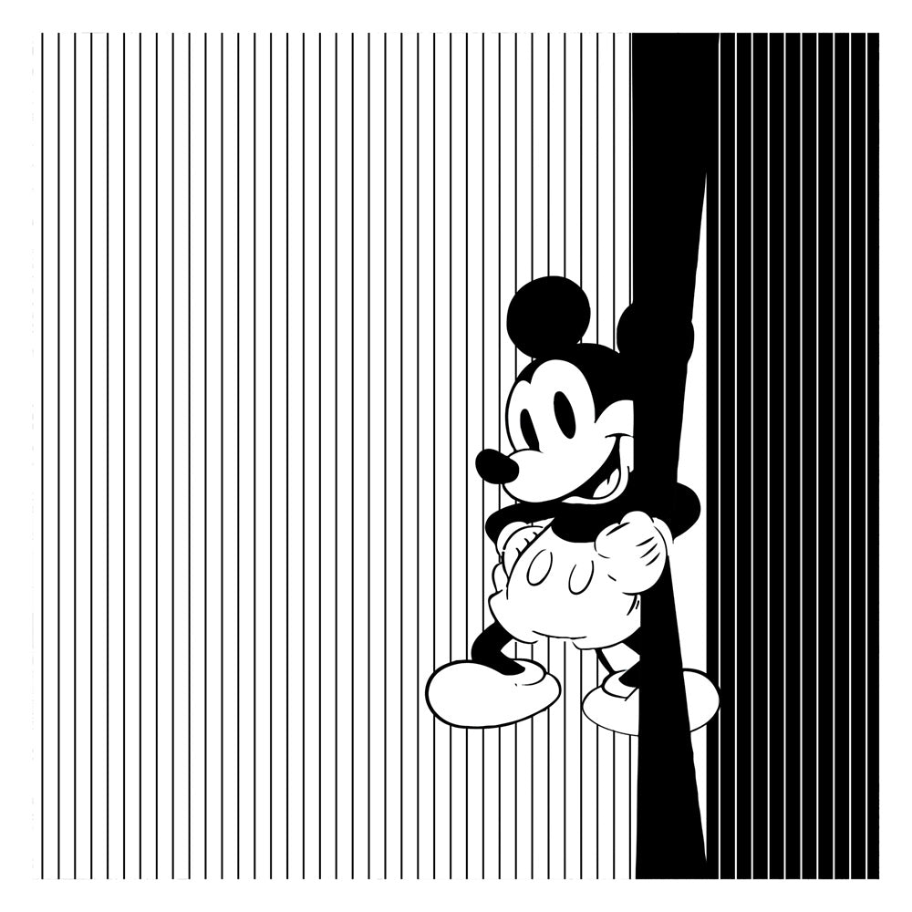 Mickey Mouse kids room wallpaper