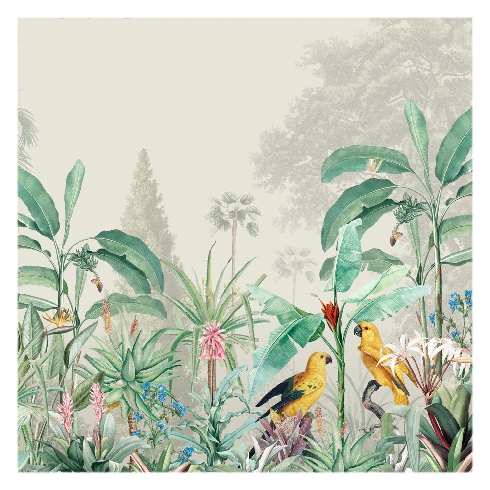 Parrots visiting tropical lines