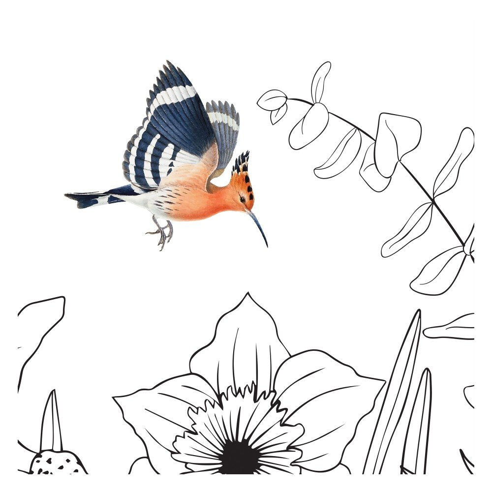 Minimalist Wilderness