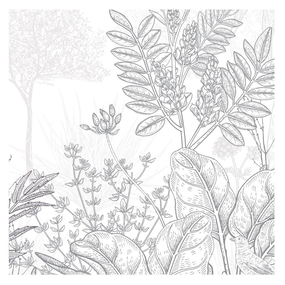 Dreamscapes Unveiled