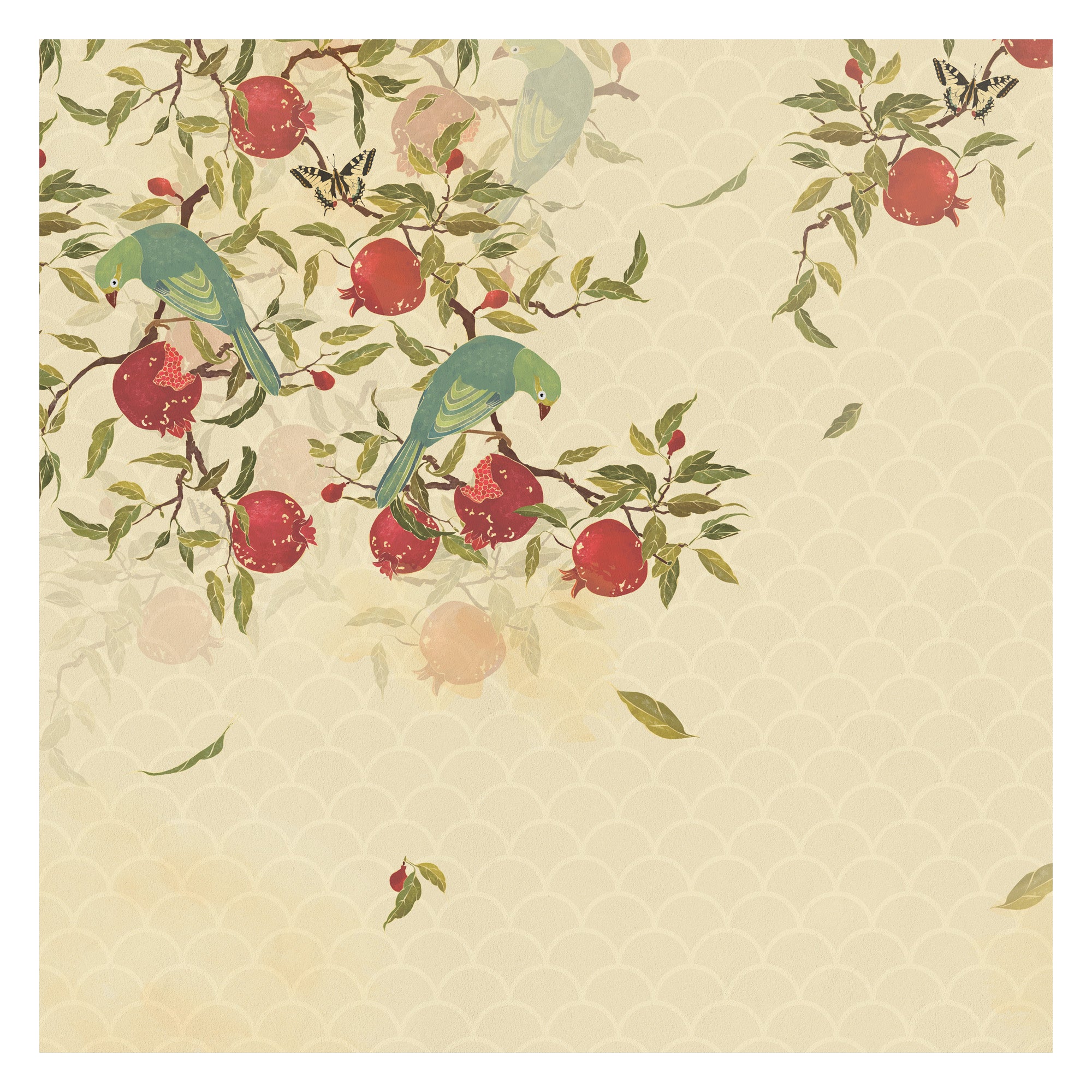 Pomegranate Eater