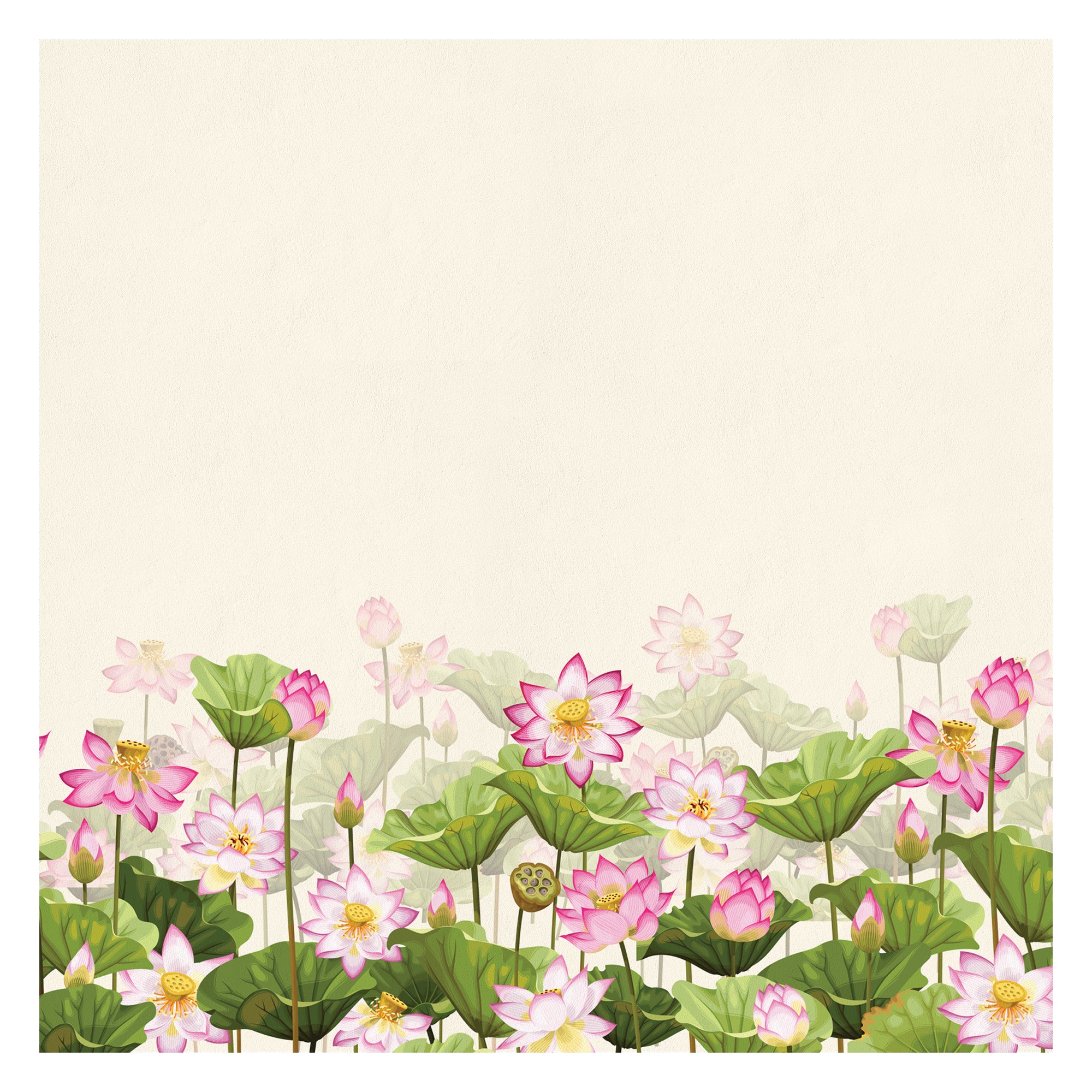 Lotus Land