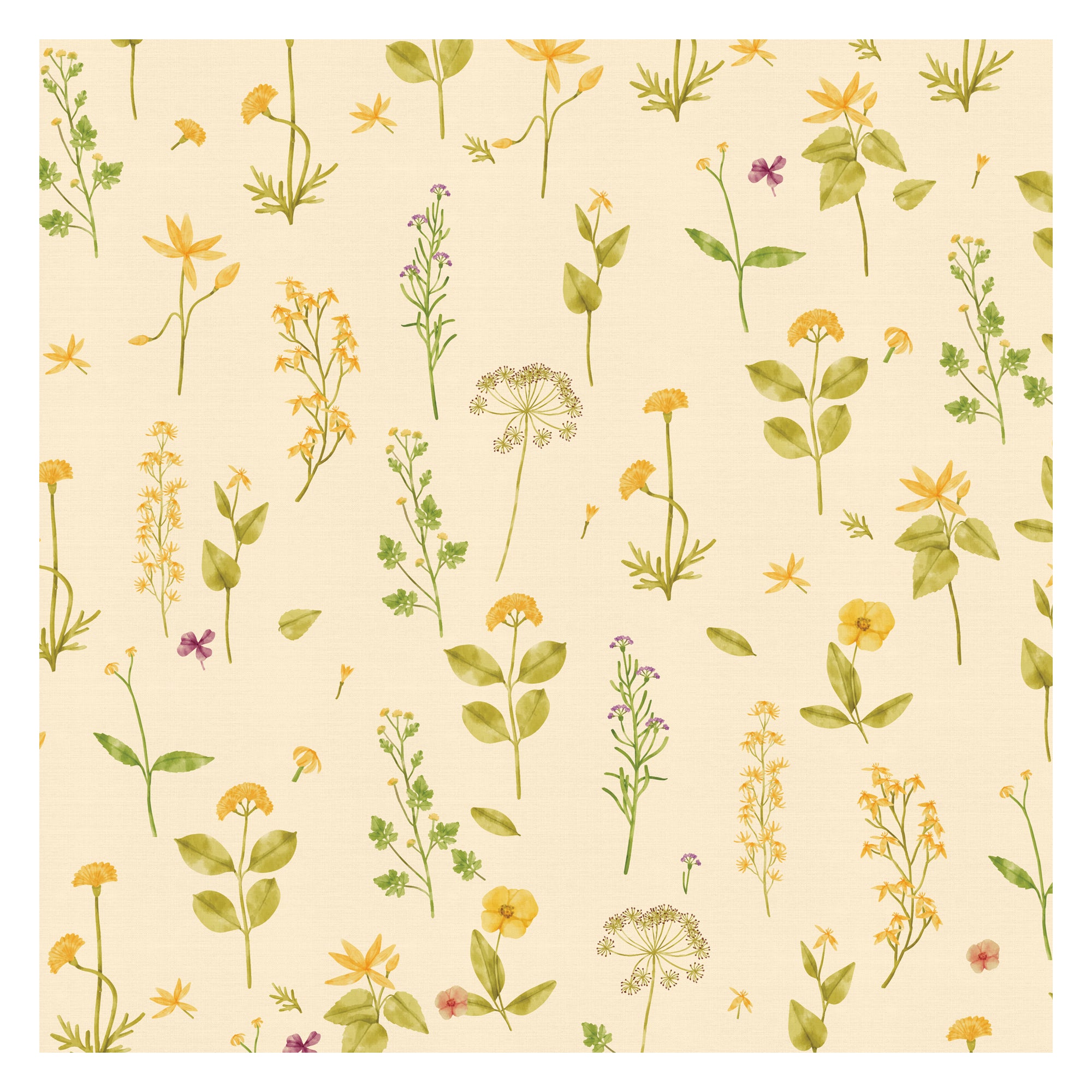Meadow Whispers
