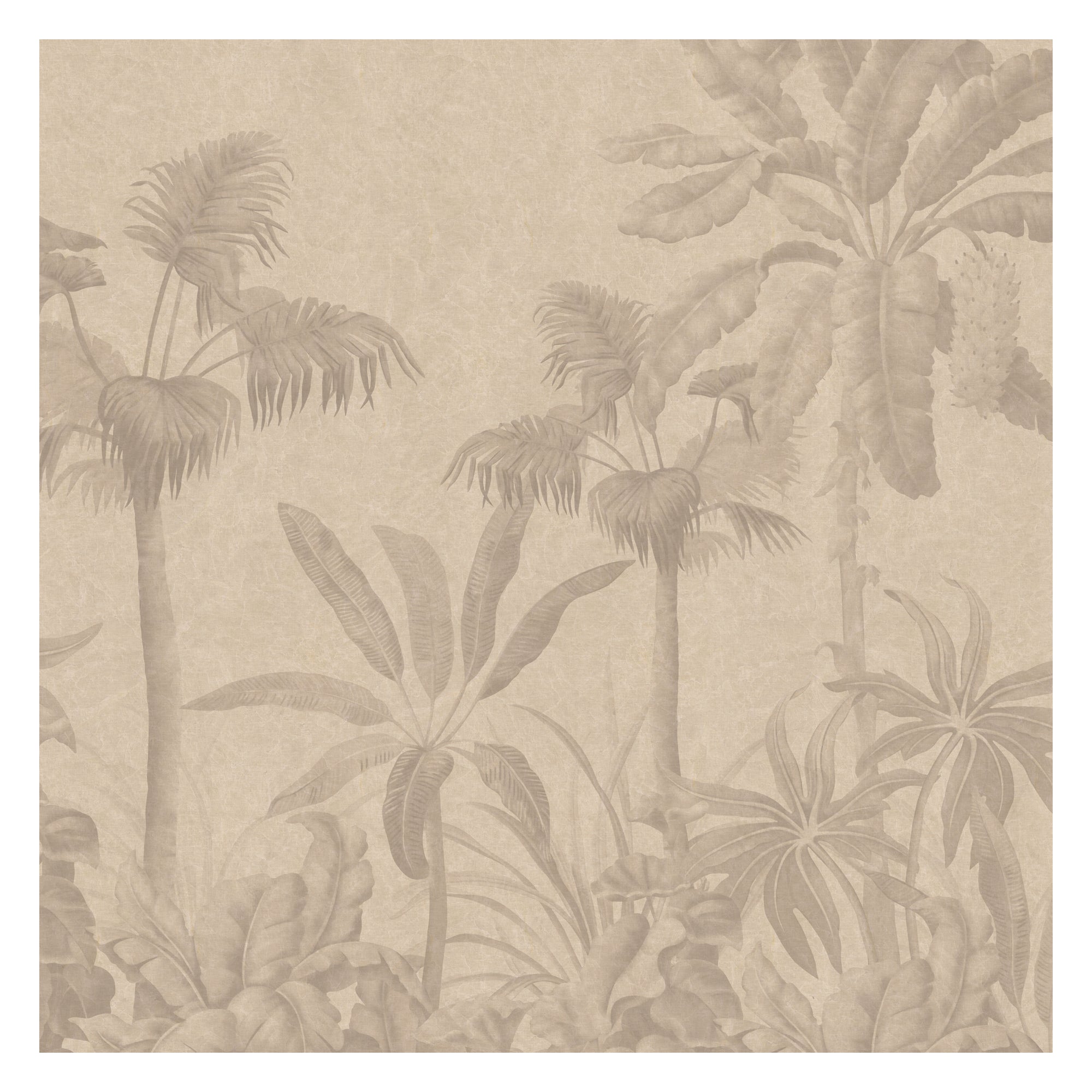 Whispers of the Tropics