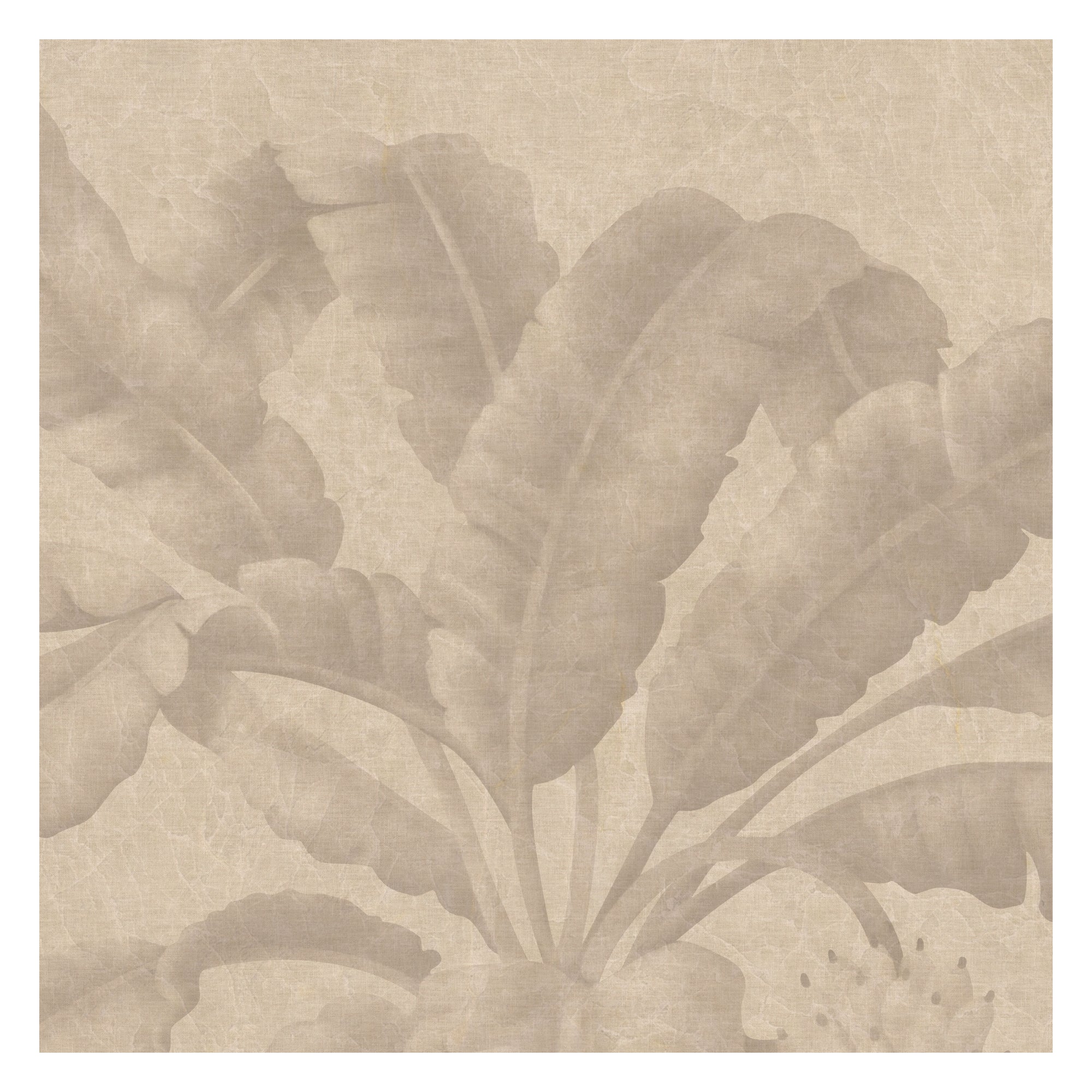 Whispers of the Tropics