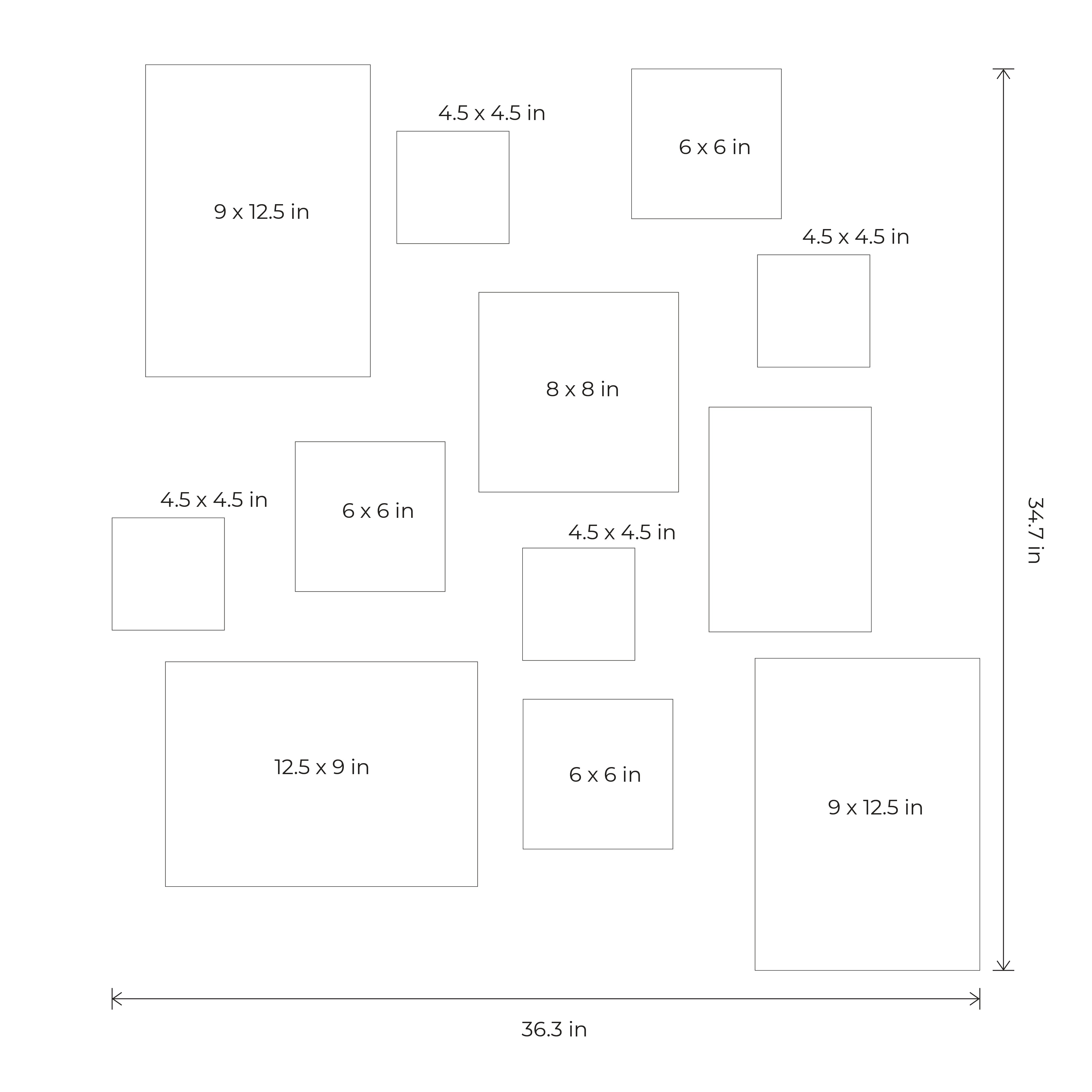 Birdsong Gallery - Set of 12