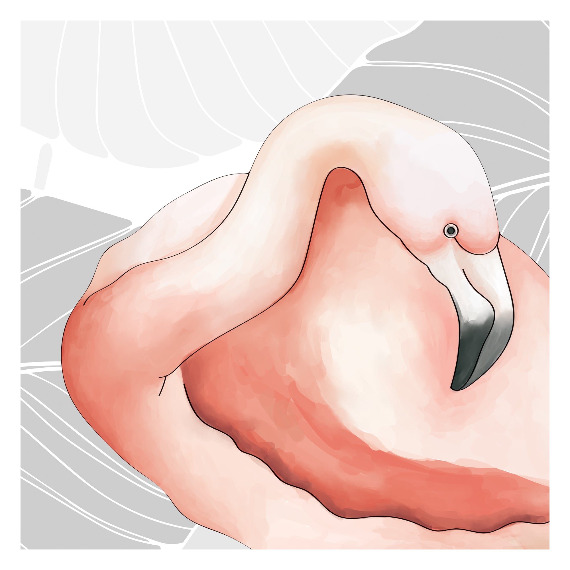 Graceful Flamingo Haven