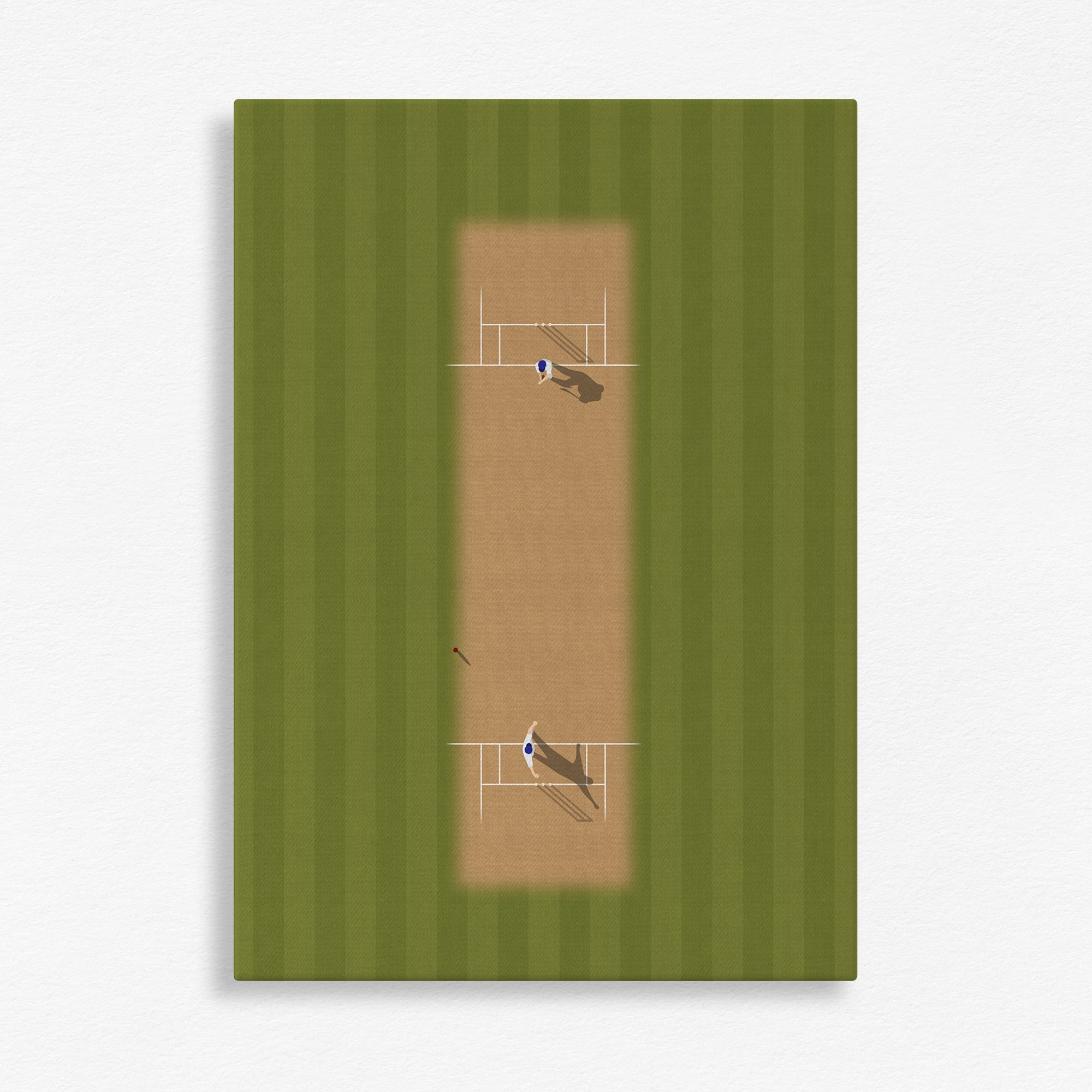 Cricket Pitch