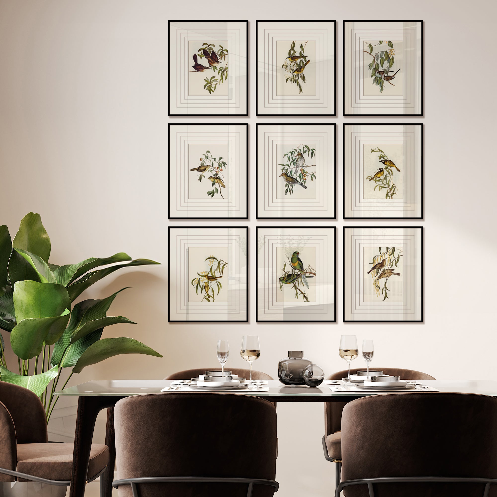 Feathers & Flora - set of 9