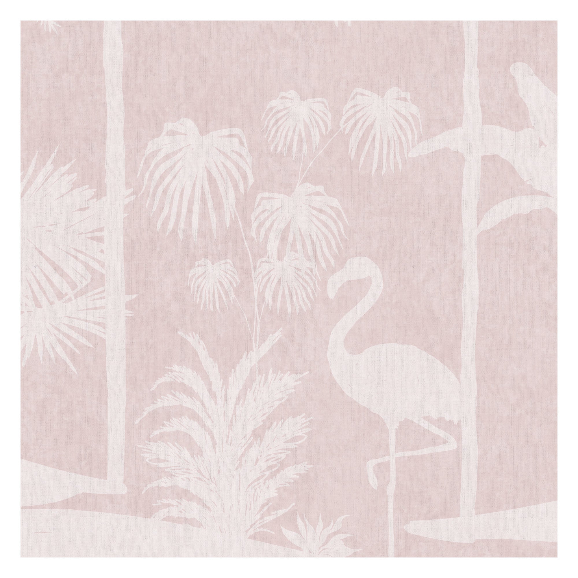 Dreamscapes Unveiled