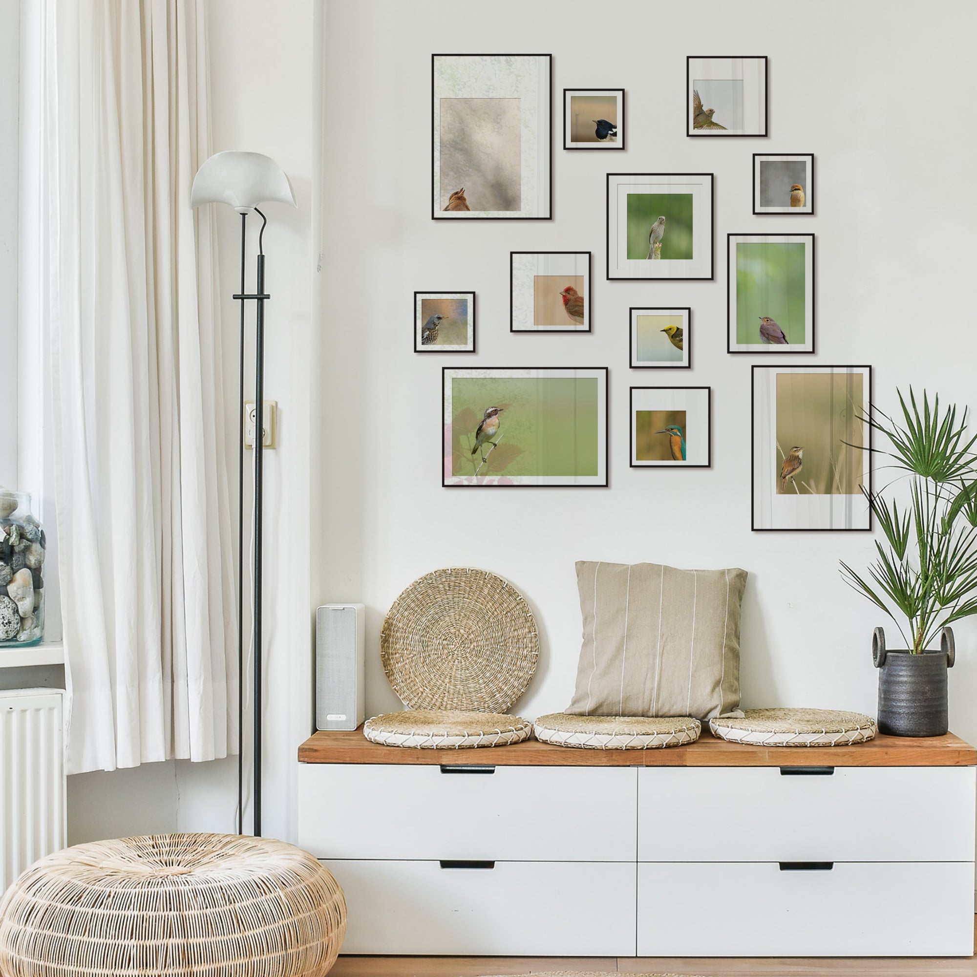 Birdsong Gallery - Set of 12