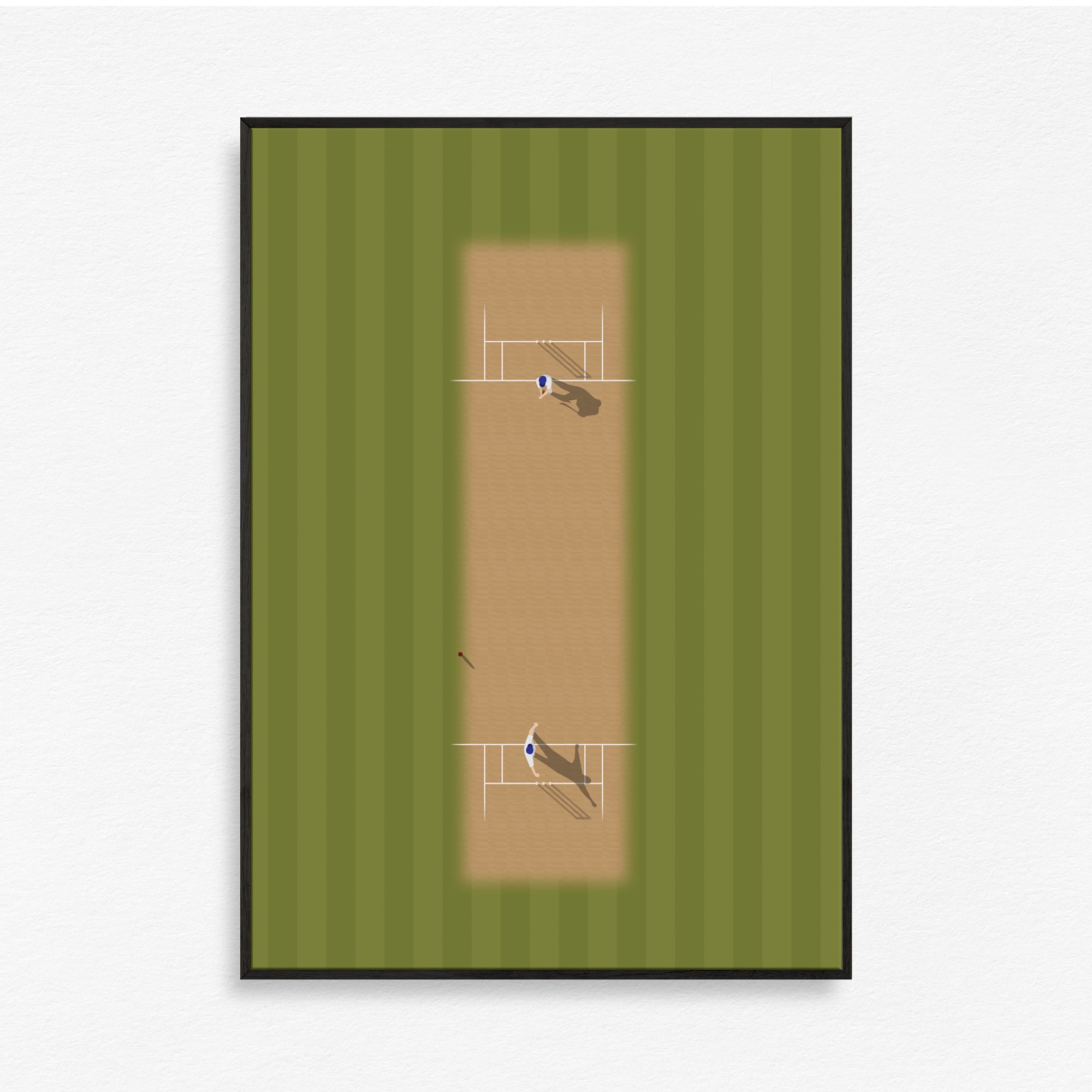 Cricket Pitch