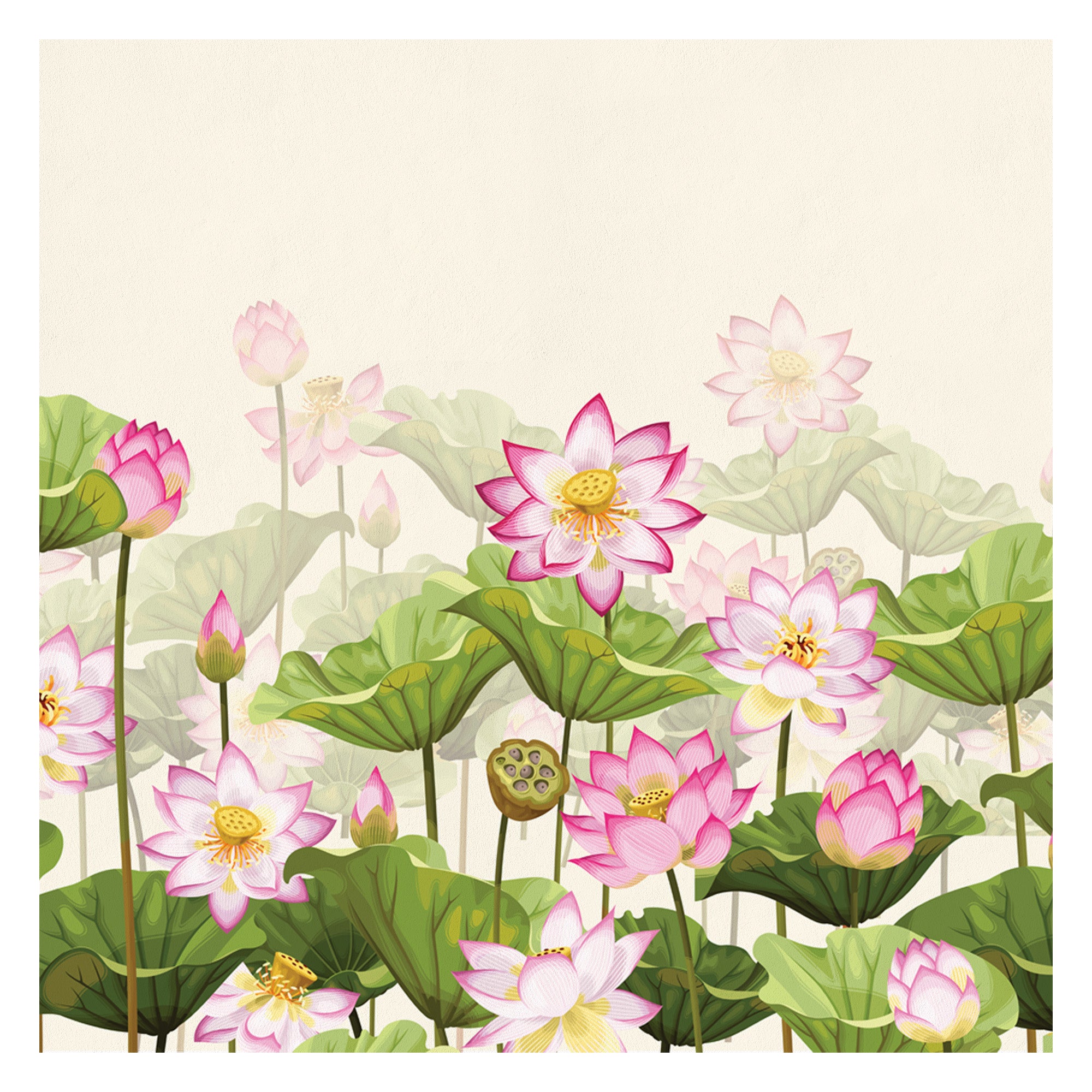 Lotus Land