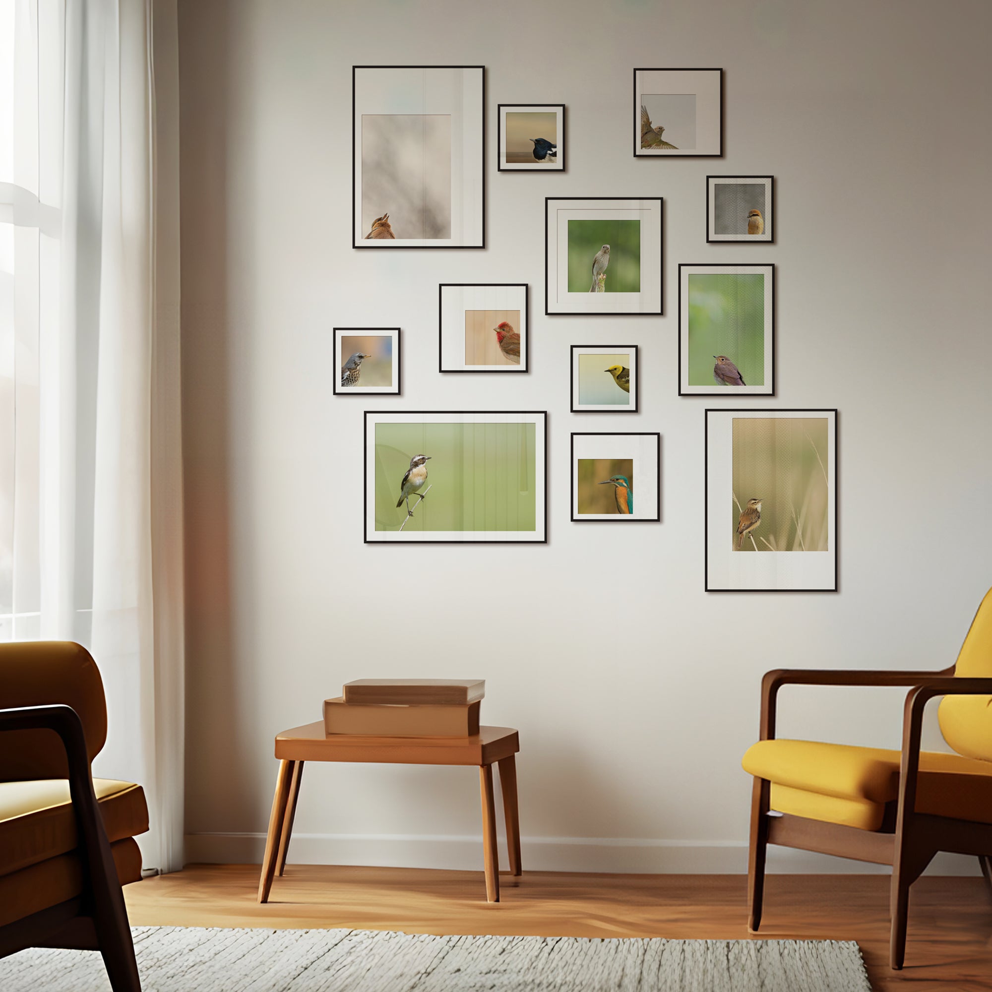 Birdsong Gallery - Set of 12