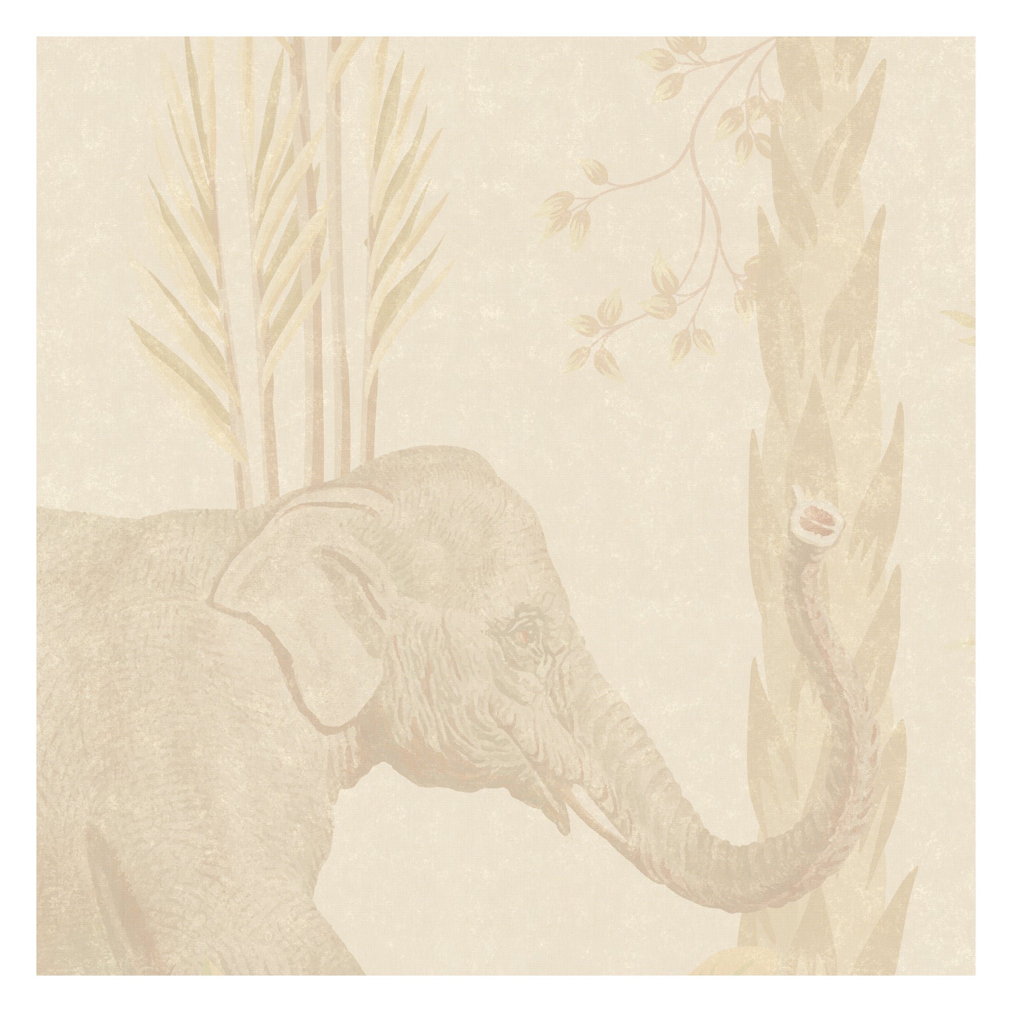 Whispers of the Wild beautifully designed bedroom wallpaper