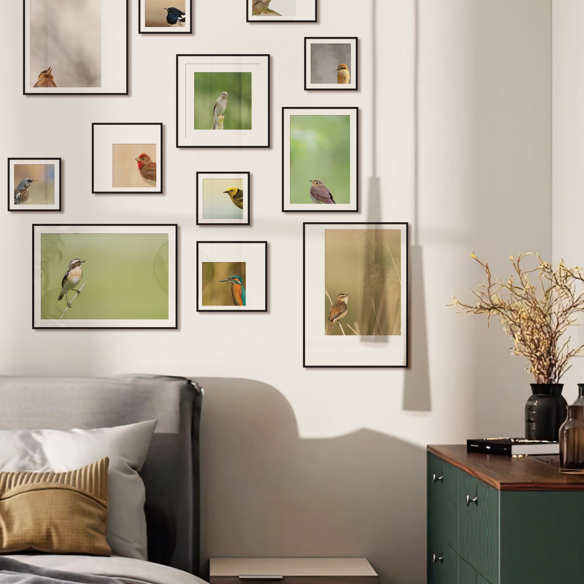 Birdsong Gallery - Set of 12